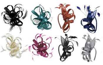 Fascinators 4 Weddings deliver a wide range of Fascinators and accessories Fascinators 4 Weddings deliver a wide range of Fascinators and accessories